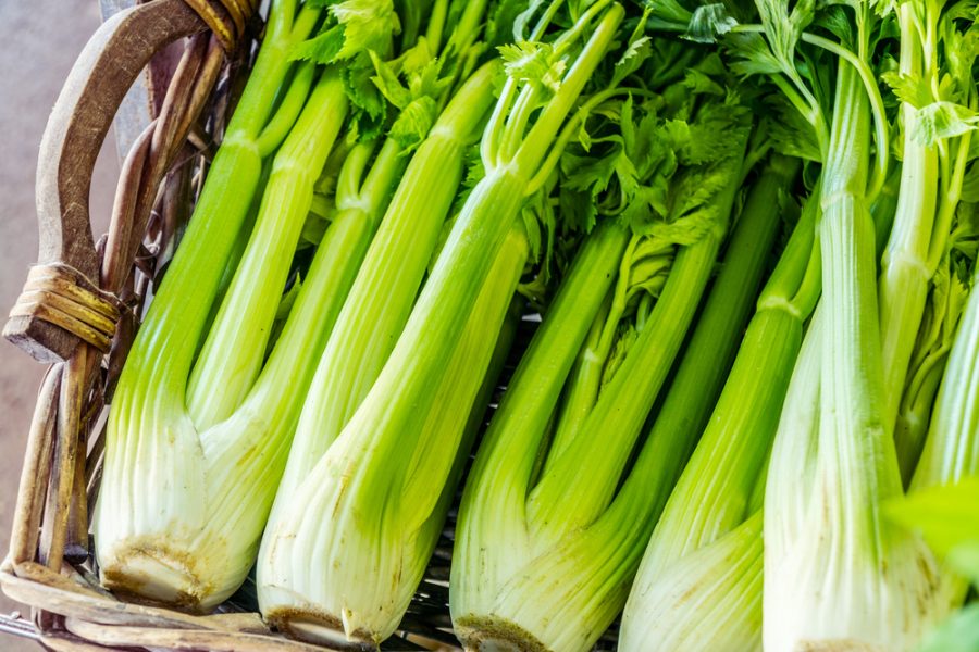 Here’s What Happens To Your Body When You Eat Celery Everyday Femanin