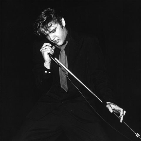 Image Source / Graceland