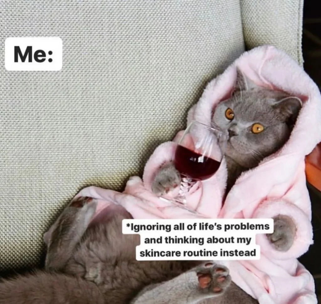 Self Care meme
