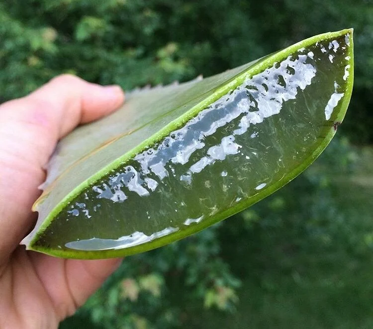 aloe vera gel