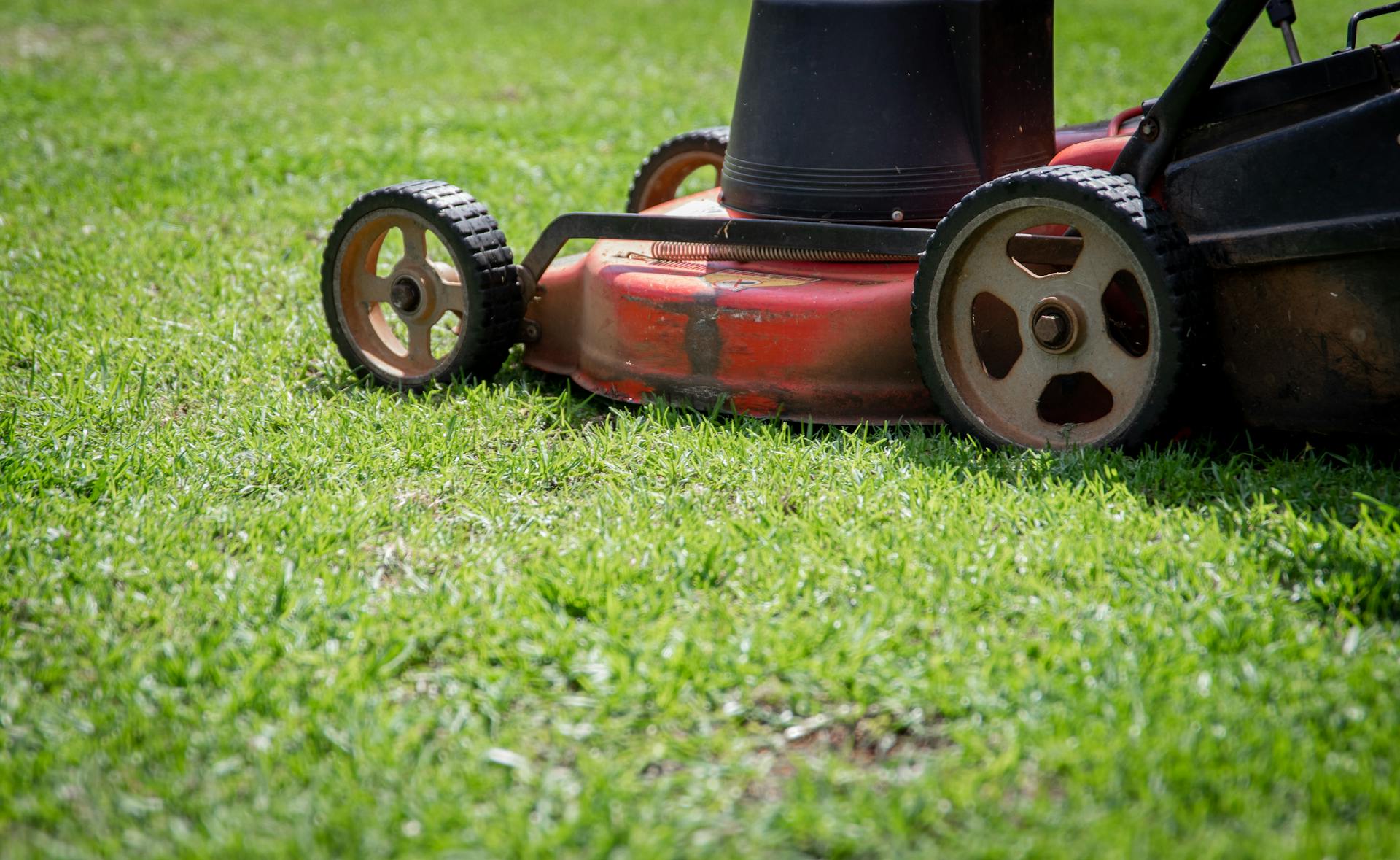 A lawn mower | Source: Pexels