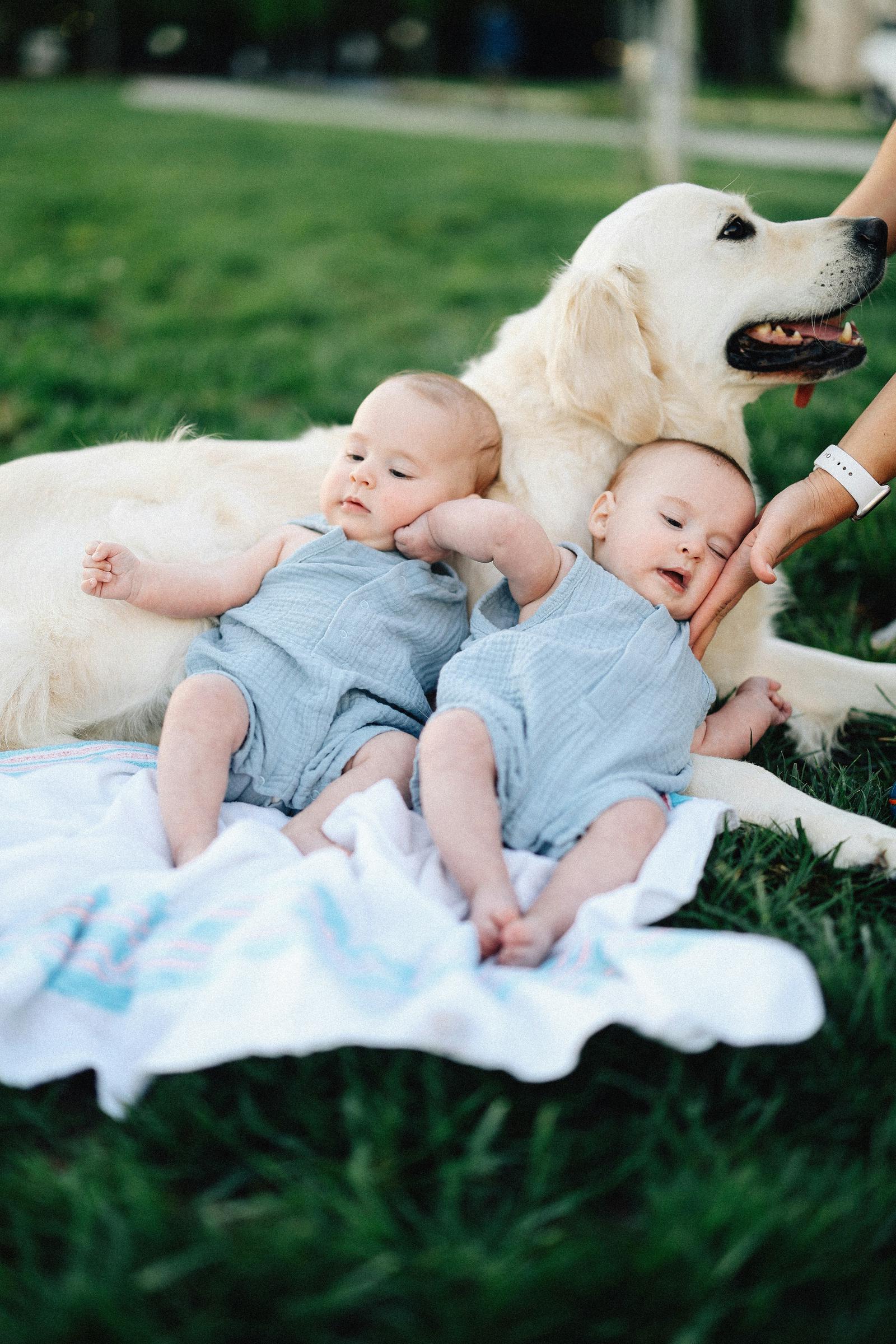 Children lying on a dog | Source: Unsplash