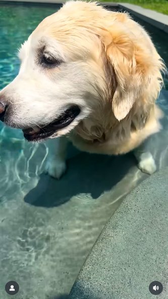 Gary sitting on the steps of a pool as she pants, posted on July 27, 2025. | Source: Instagram/jimmyfallon