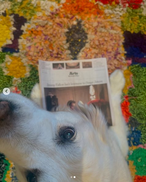 Gary looking up at the camera with a newspaper placed in front of her. | Source: Instagram/jimmyfallon