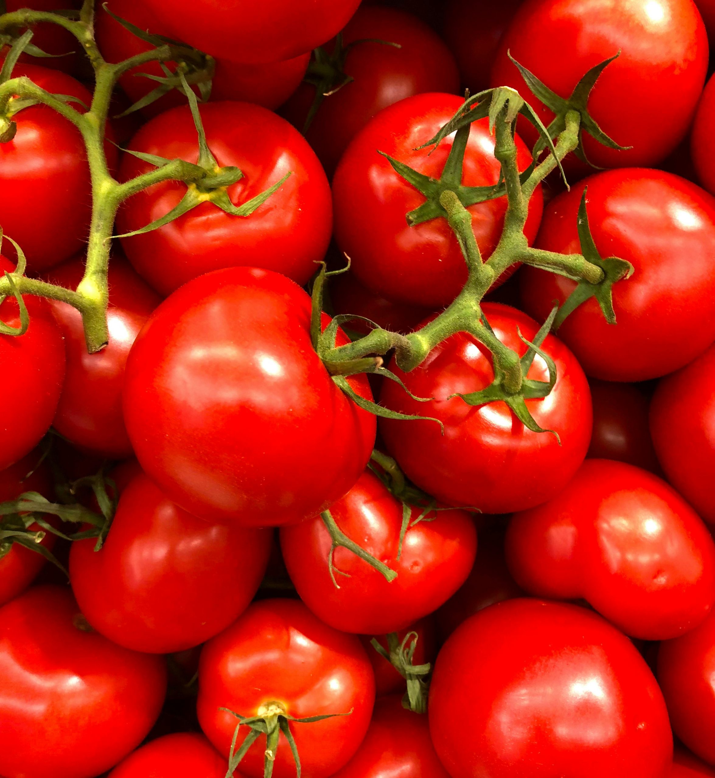 A close-up of fresh tomatoes | Source: Pexels