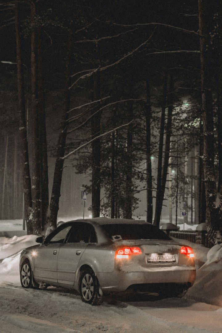 A car in the woods on a snowy evening | Source: Unsplash