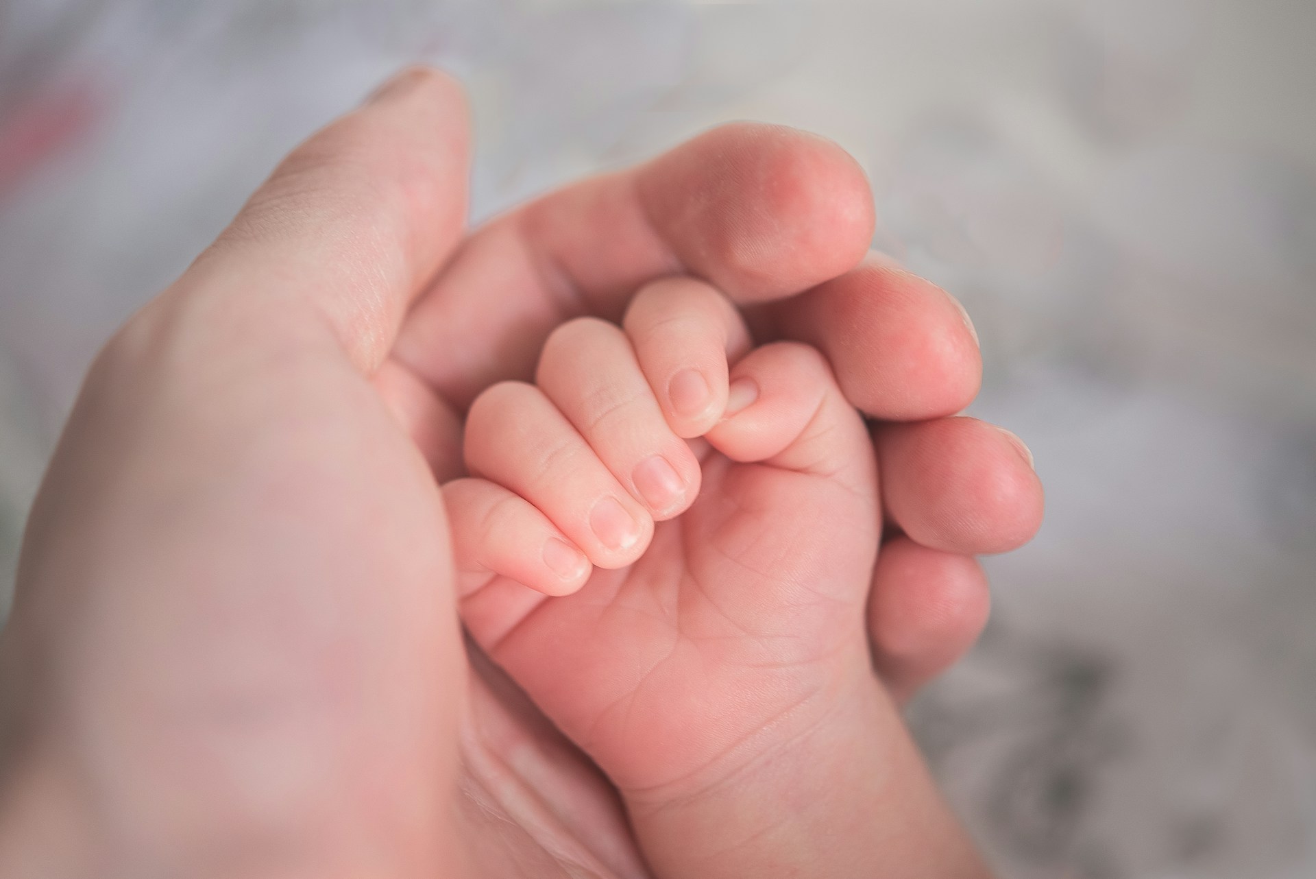 A person holding a baby's hand | Source: Unsplash
