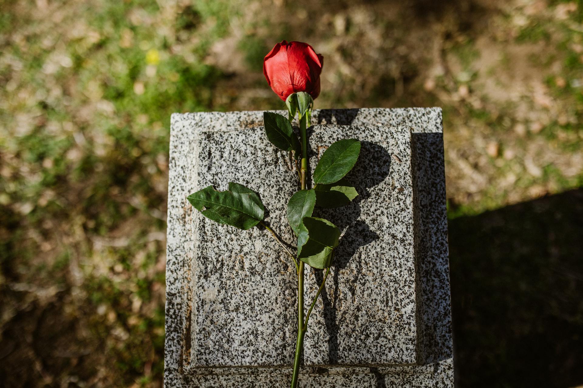 A grave | Source: Pexels