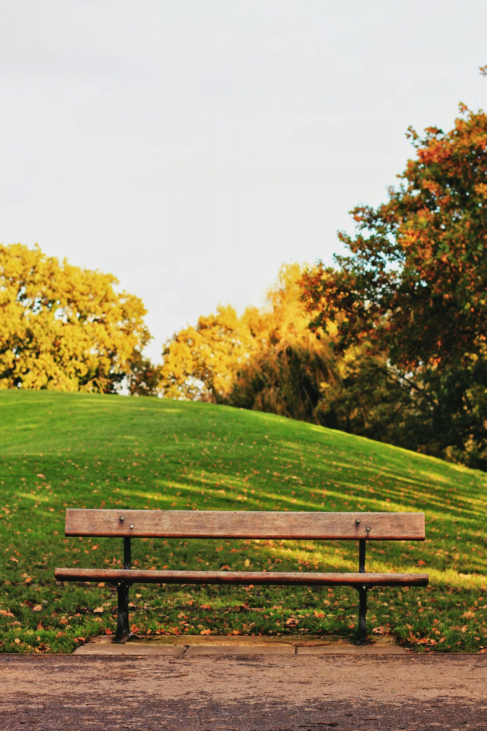 A park with a wooden bench | Source: Unsplash