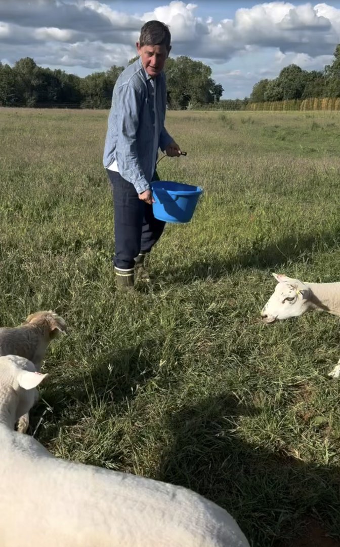The animals on Ellen DeGeneres and Portia de Rossi's property from a post dated May 28, 2025. | Source: Instagram/ellendegeneres