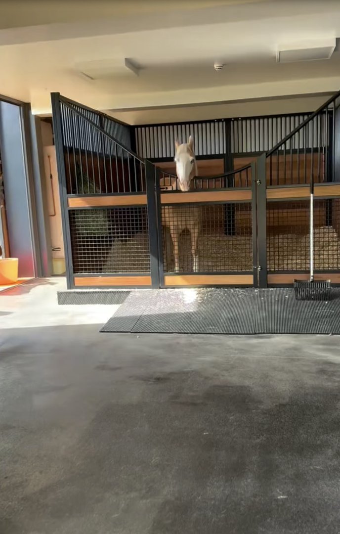 Inside Ellen DeGeneres and Portia de Rossi's home from a post dated May 30, 2025. | Source: Instagram/ellendegeneres
