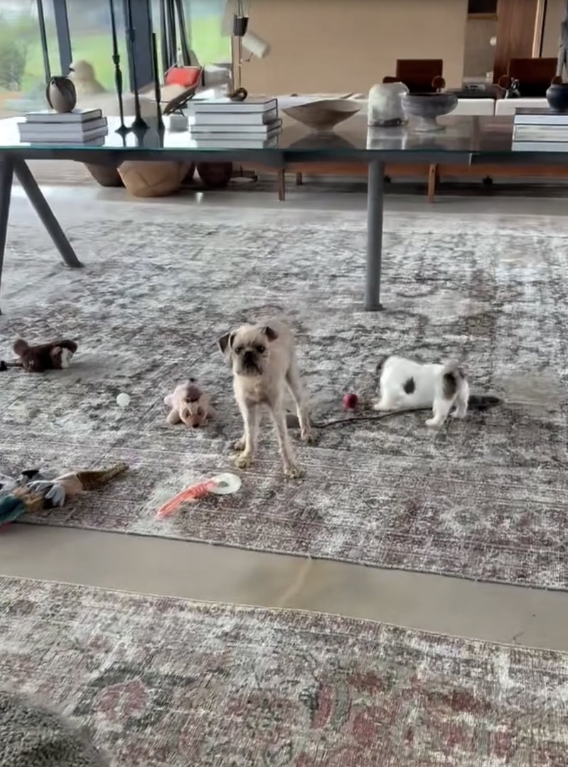 Inside Ellen DeGeneres and Portia de Rossi's property from a post dated October 16, 2025. | Source: Instagram/ellendegeneres