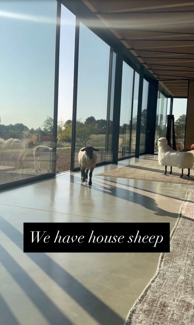A view of Ellen DeGeneres and Portia de Rossi's home from a post dated June 16, 2025. | Source: Instagram/ellendegeneres