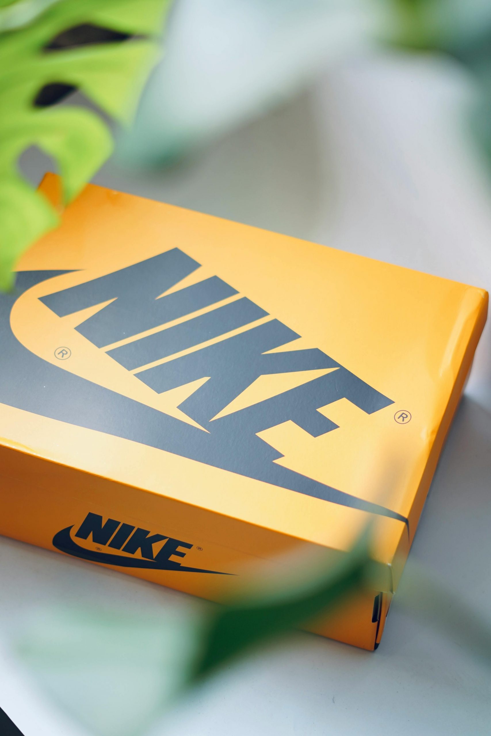 A closed shoebox | Source: Pexels