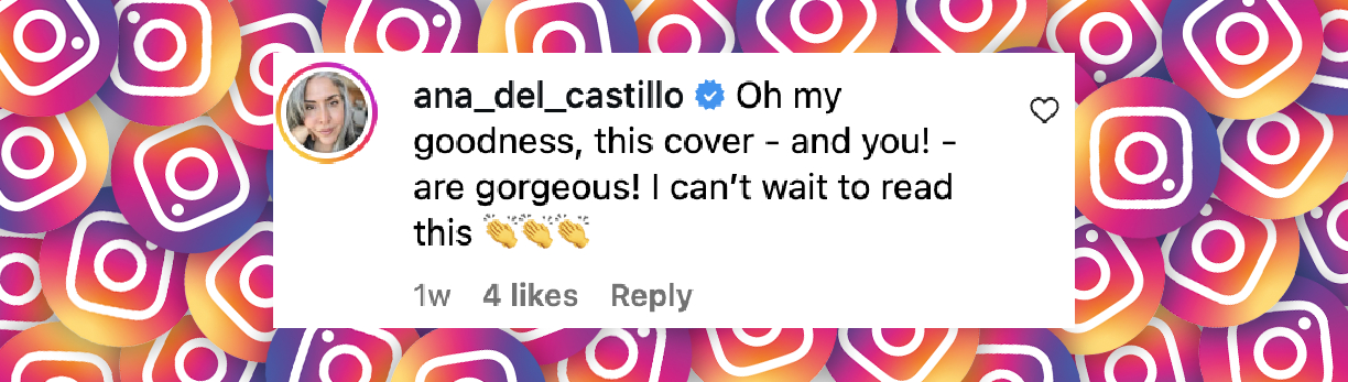 A netizen's reaction to Valerie Bertinelli's book cover photo, as posted on October 3, 2025 | Source: Instagram/wolfiesmom