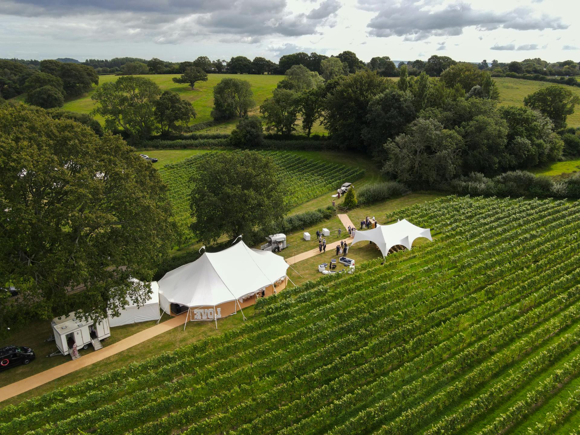 A white tent and gazebo in a vineyard | Source: Pexels