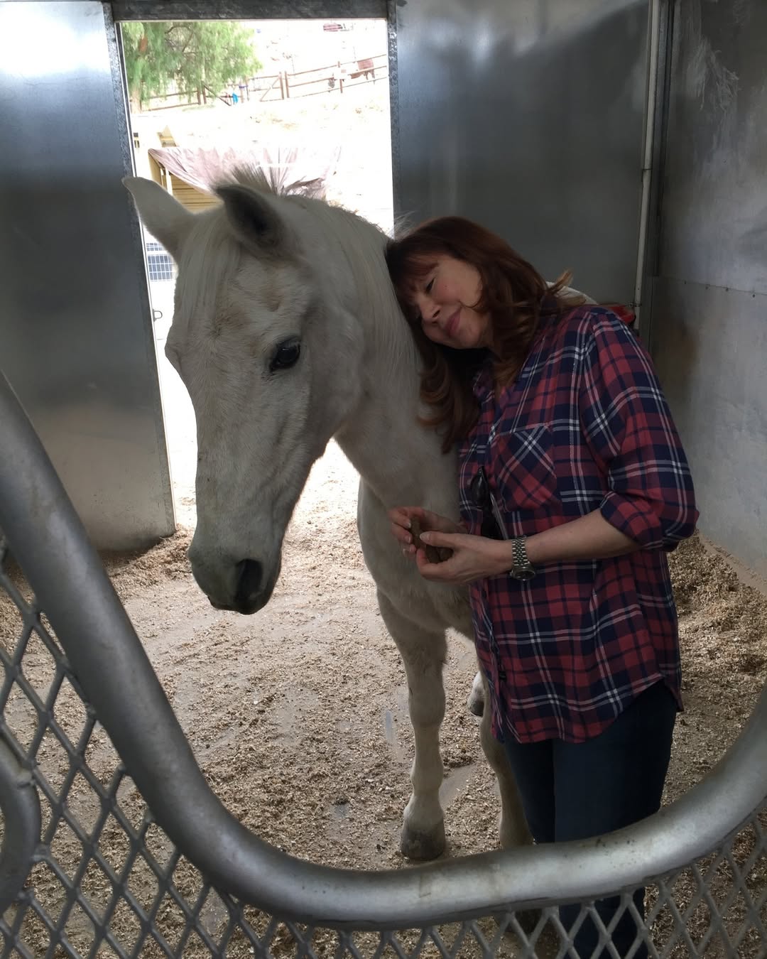 Victoria Principal bonding with one of her rescue horses on August 17, 2024 | Source: Instagram/victoriaprincipalofficial