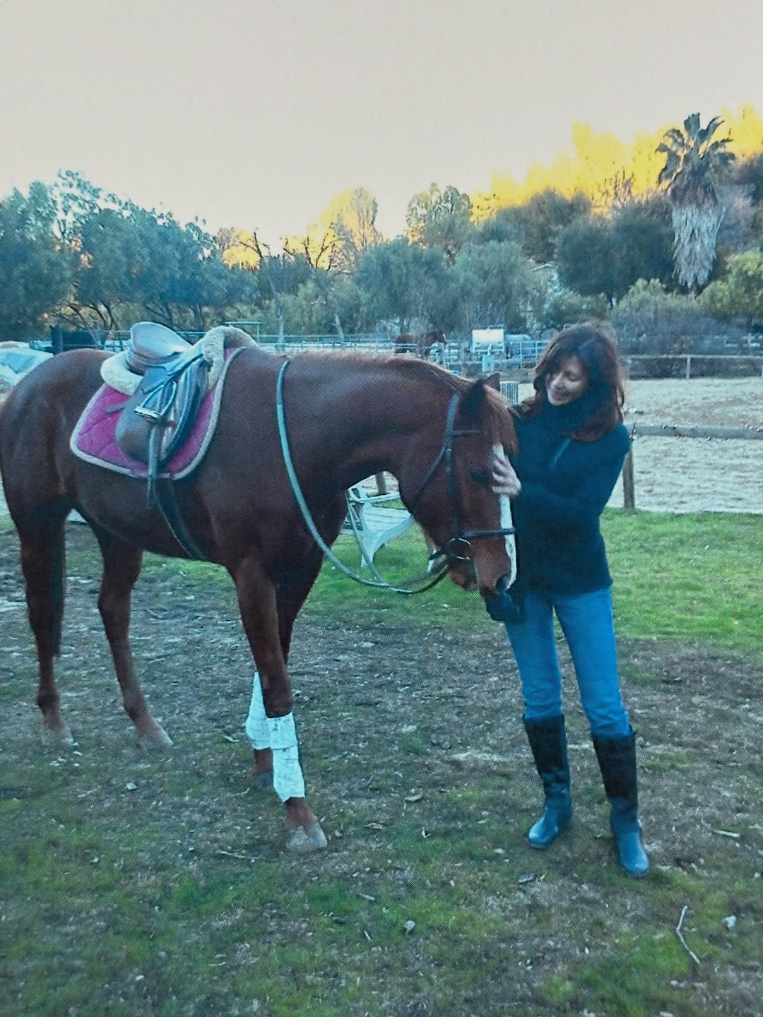 Victoria Principal bonding with her horse, Bijou, on October 3, 2025 | Source: Instagram/victoriaprincipalofficial