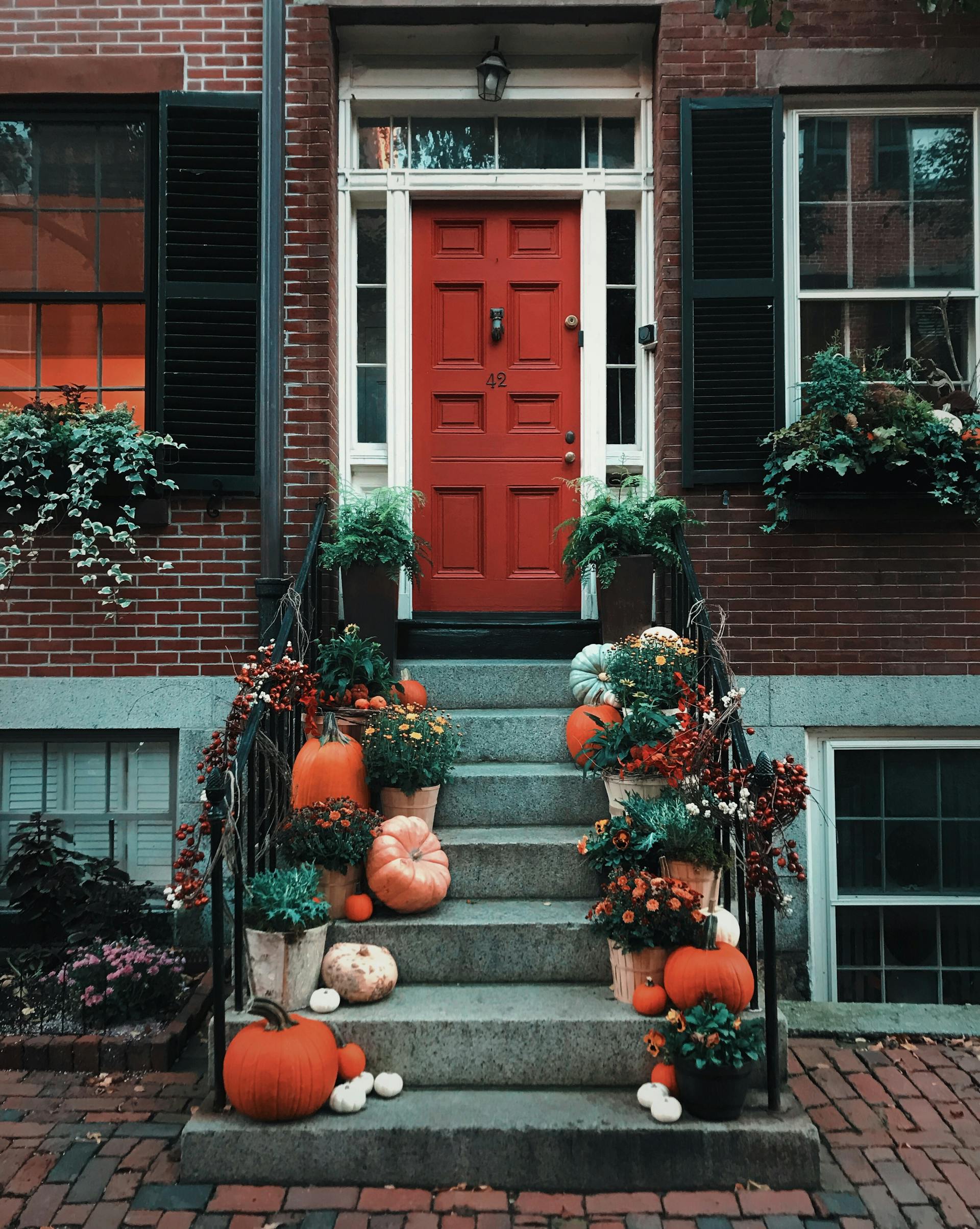 Pumpkins lined on the stairs in front of a door | Source: Pexels