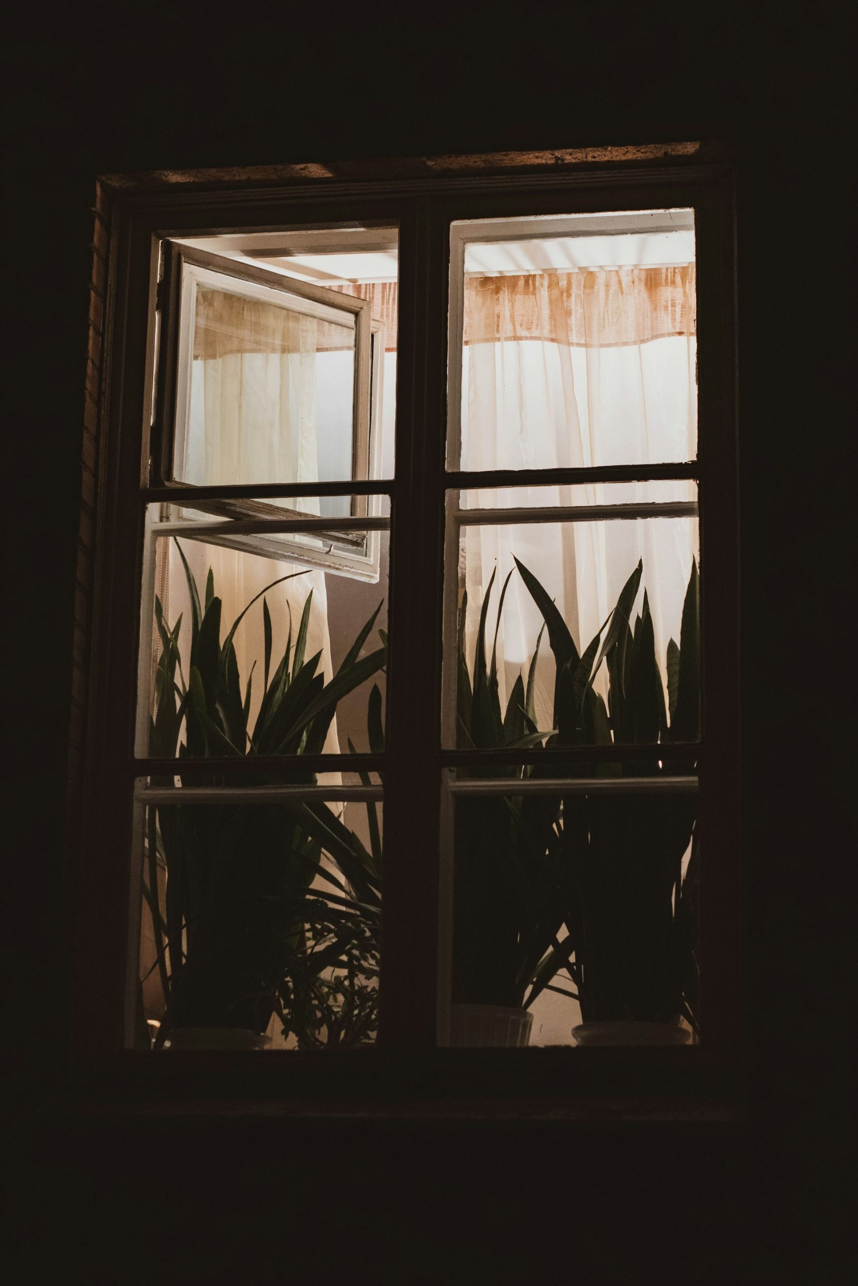 A window | Source: Unsplash