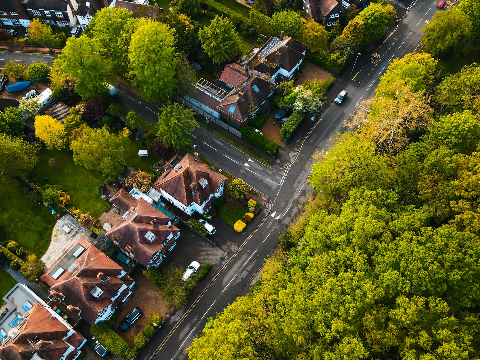 A neighborhood | Source: Pexels