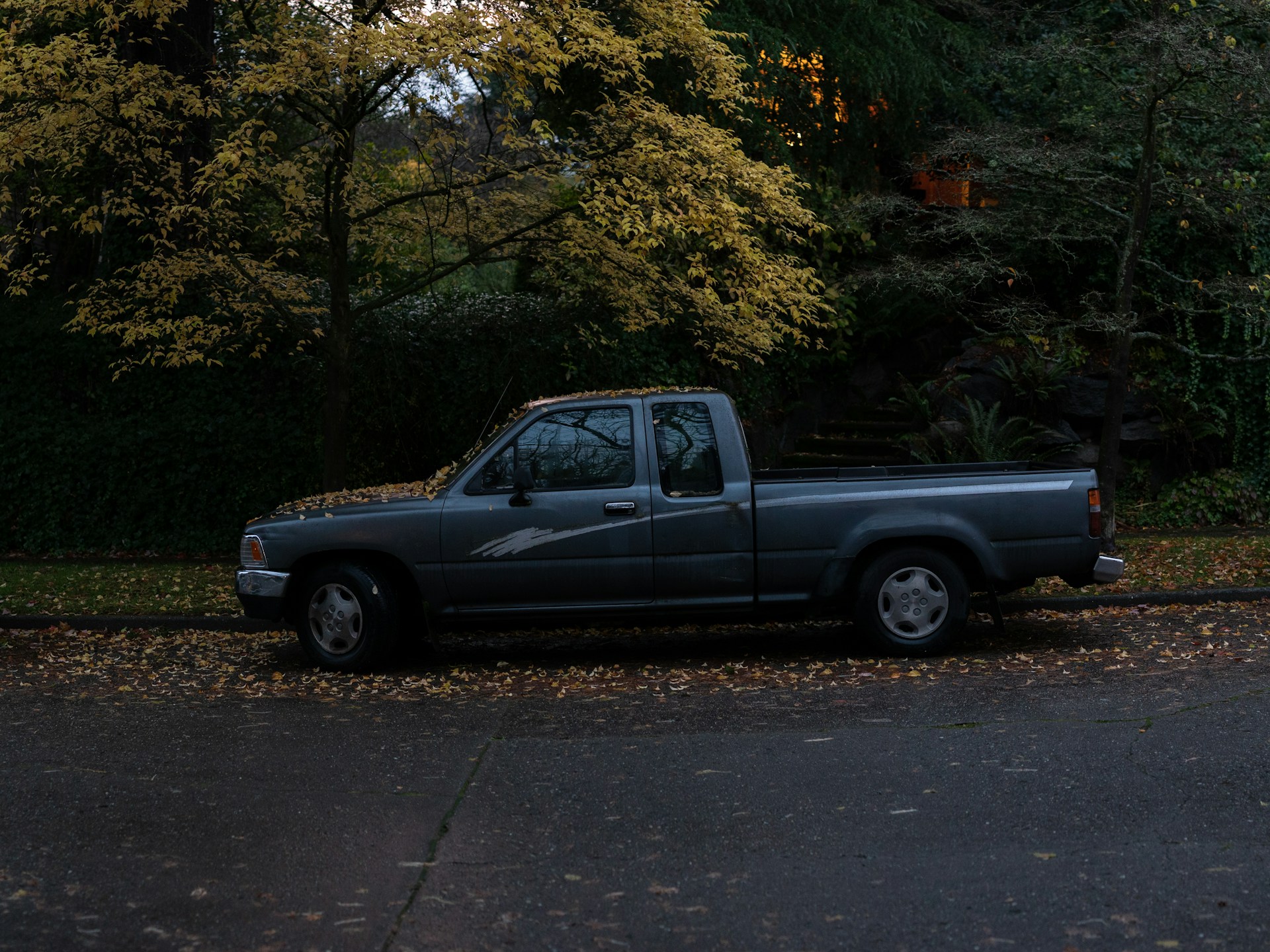 A pickup truck parked under a tree | Source: Unsplash