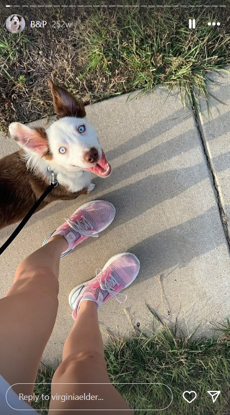 Virginia Elder's dog, Bleau. | Source: Instagram/virginiaelder
