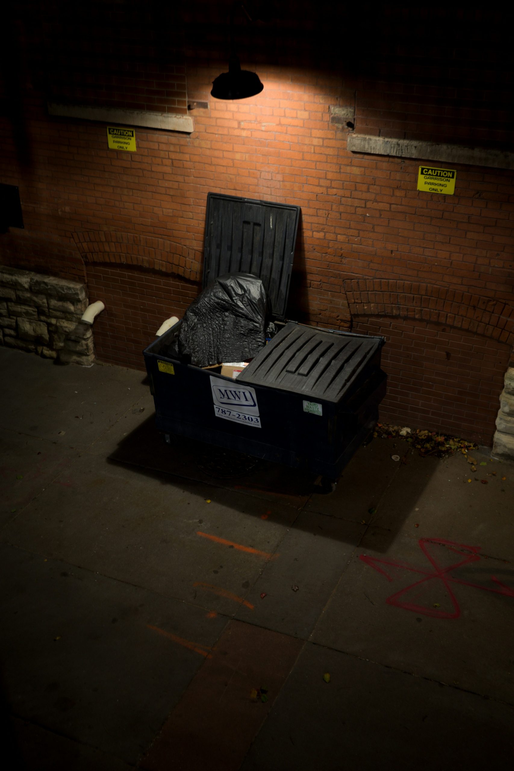 Dumpster lying outside a building | Source: Unsplash