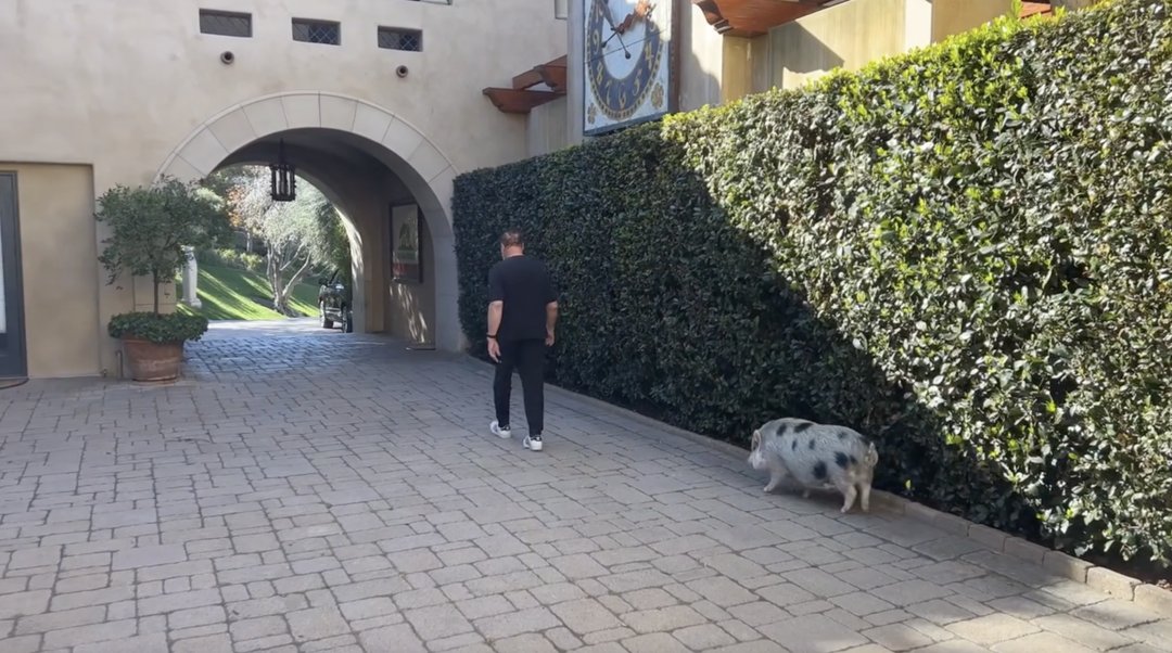 Arnold Schwarzenegger walks through his estate with his pig following behind in a video posted on April 9, 2024 | Source: Instagram/schwarzenegger