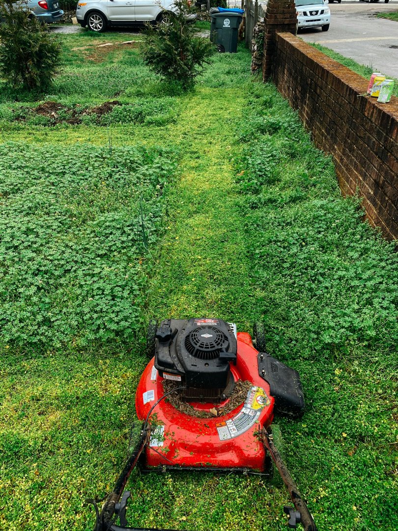 A red lawn mower on the grass | Source: Pexels