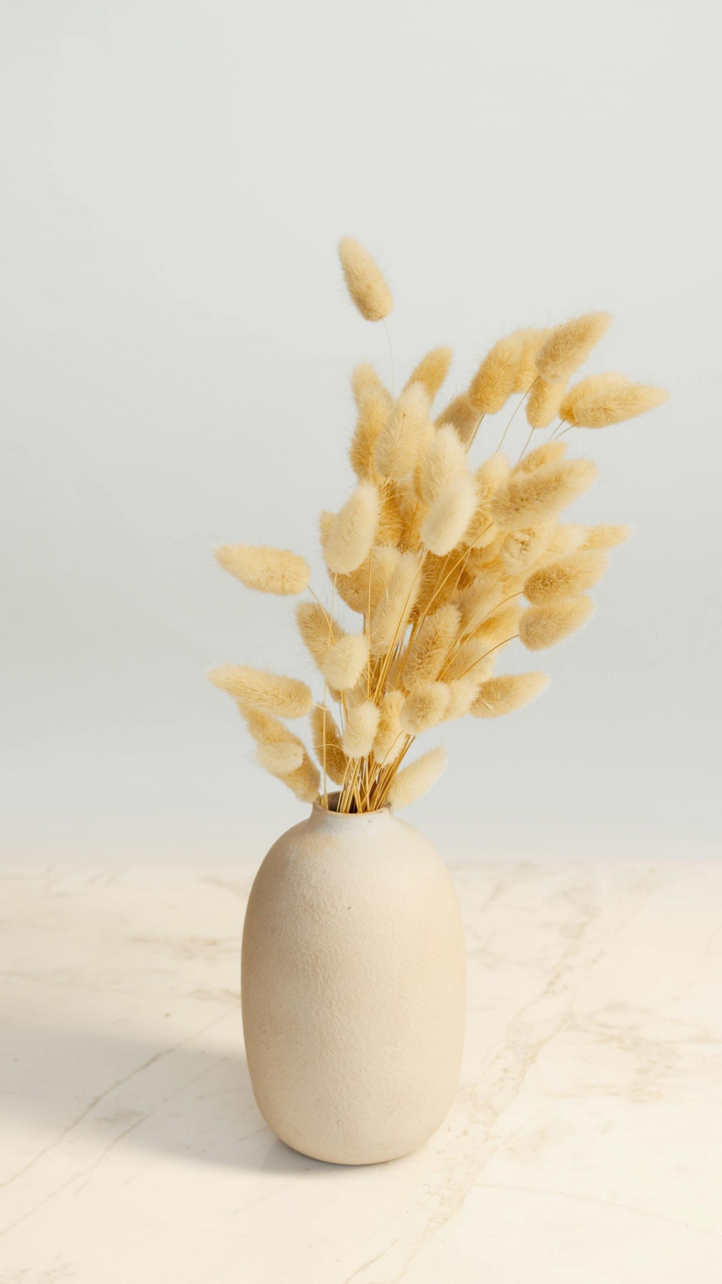 Dried flowers in a white ceramic vase | Source: Pexels