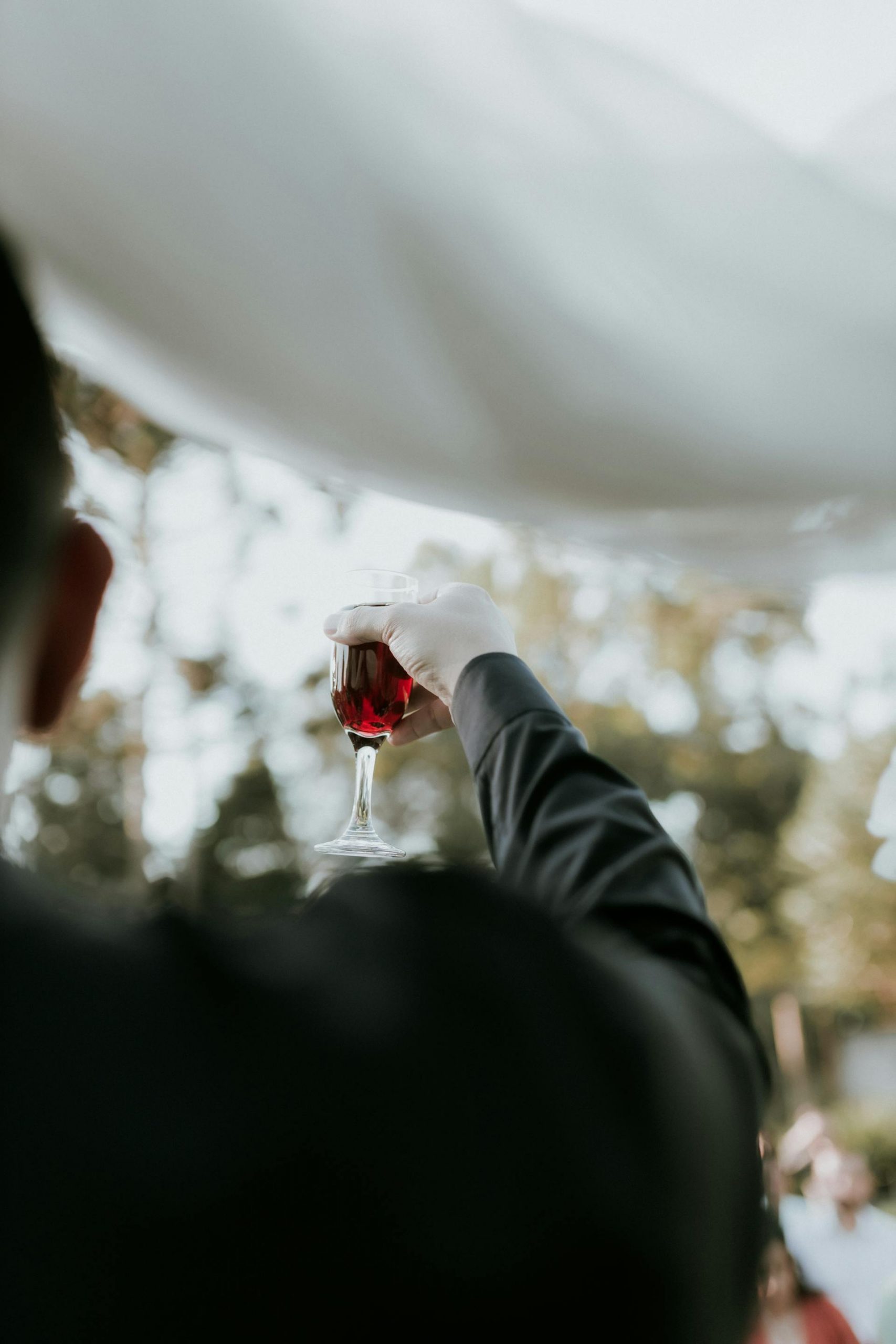 A close-up shot of a man toasting with wine | Source: Pexels