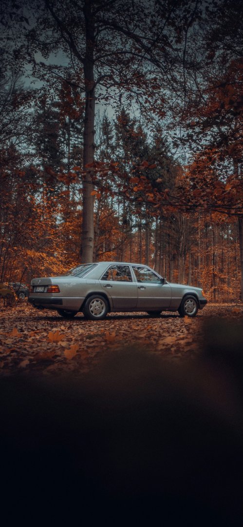 A car parked in a dense landscape | Source: Unsplash