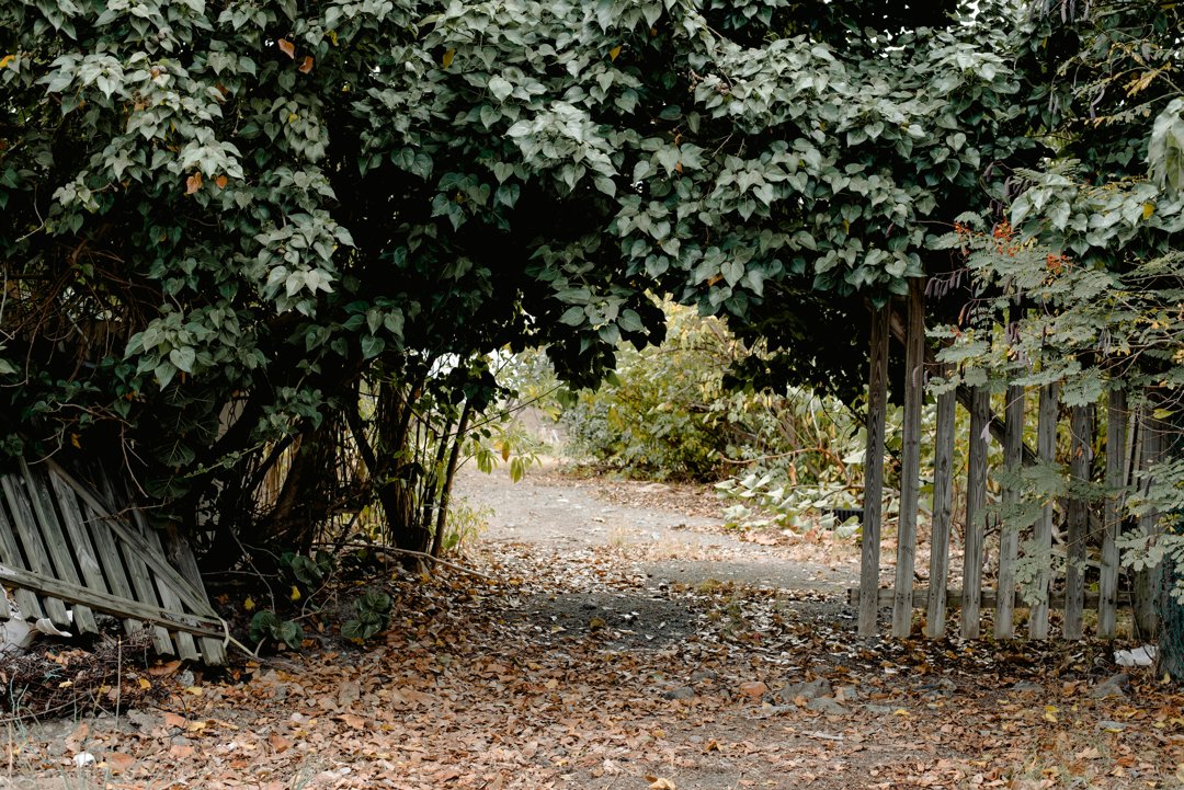 A broken wooden fence | Source: Pexels