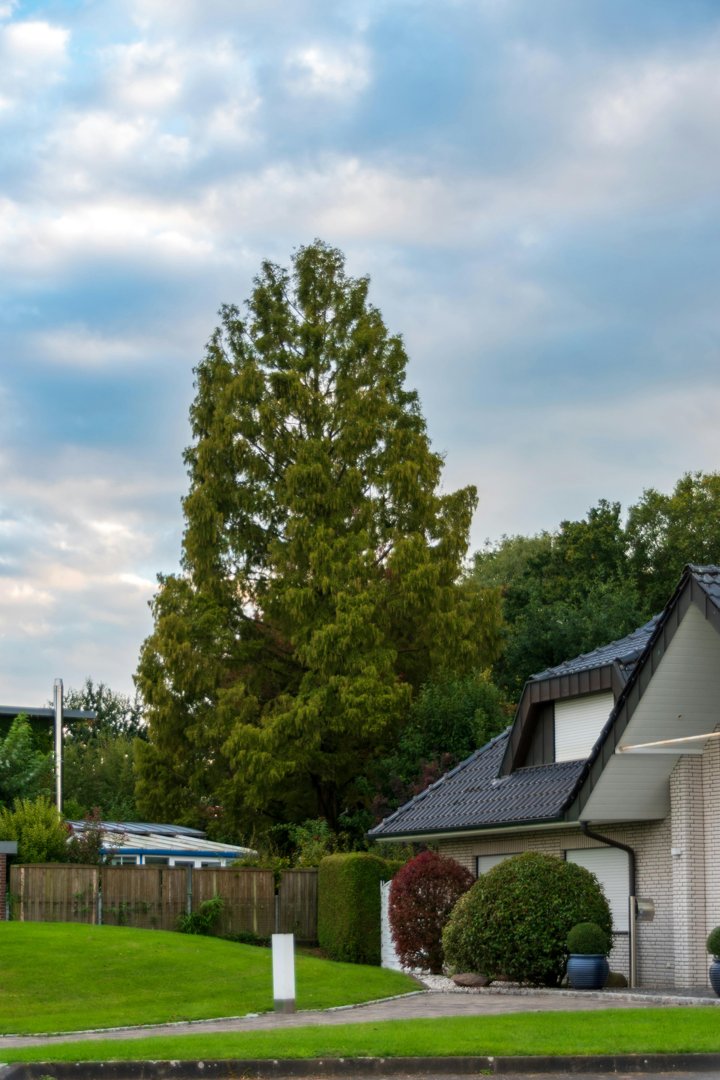 A house in a nice neighborhood | Source: Pexels