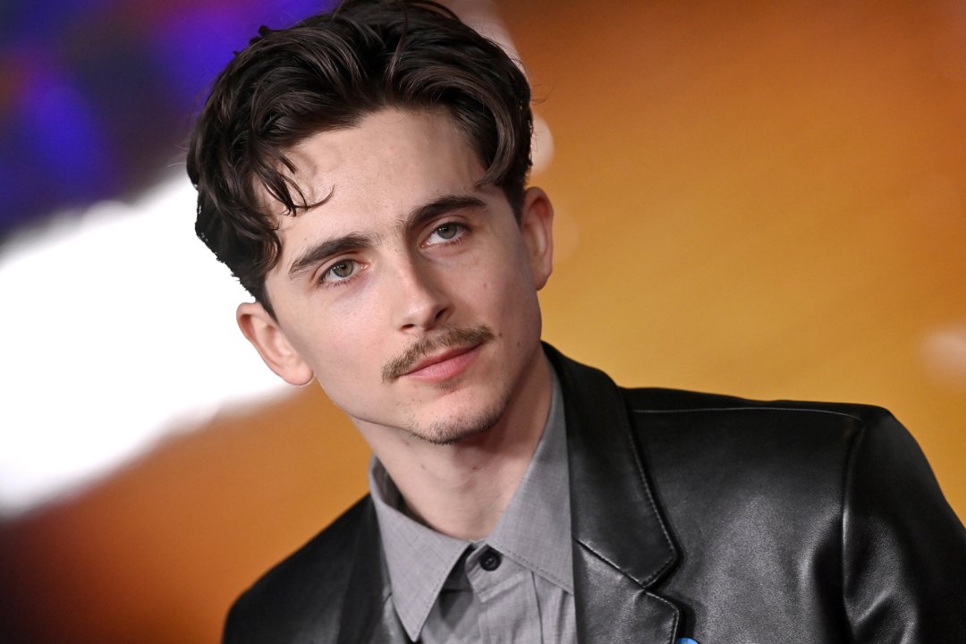 Timothée Chalamet attended the Los Angeles premiere of Searchlight Pictures' 