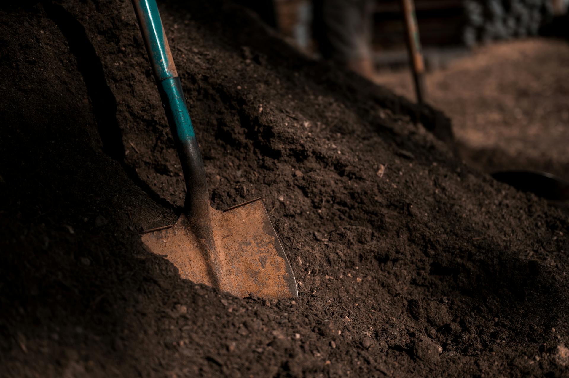 A pile of soil | Source: Pexels