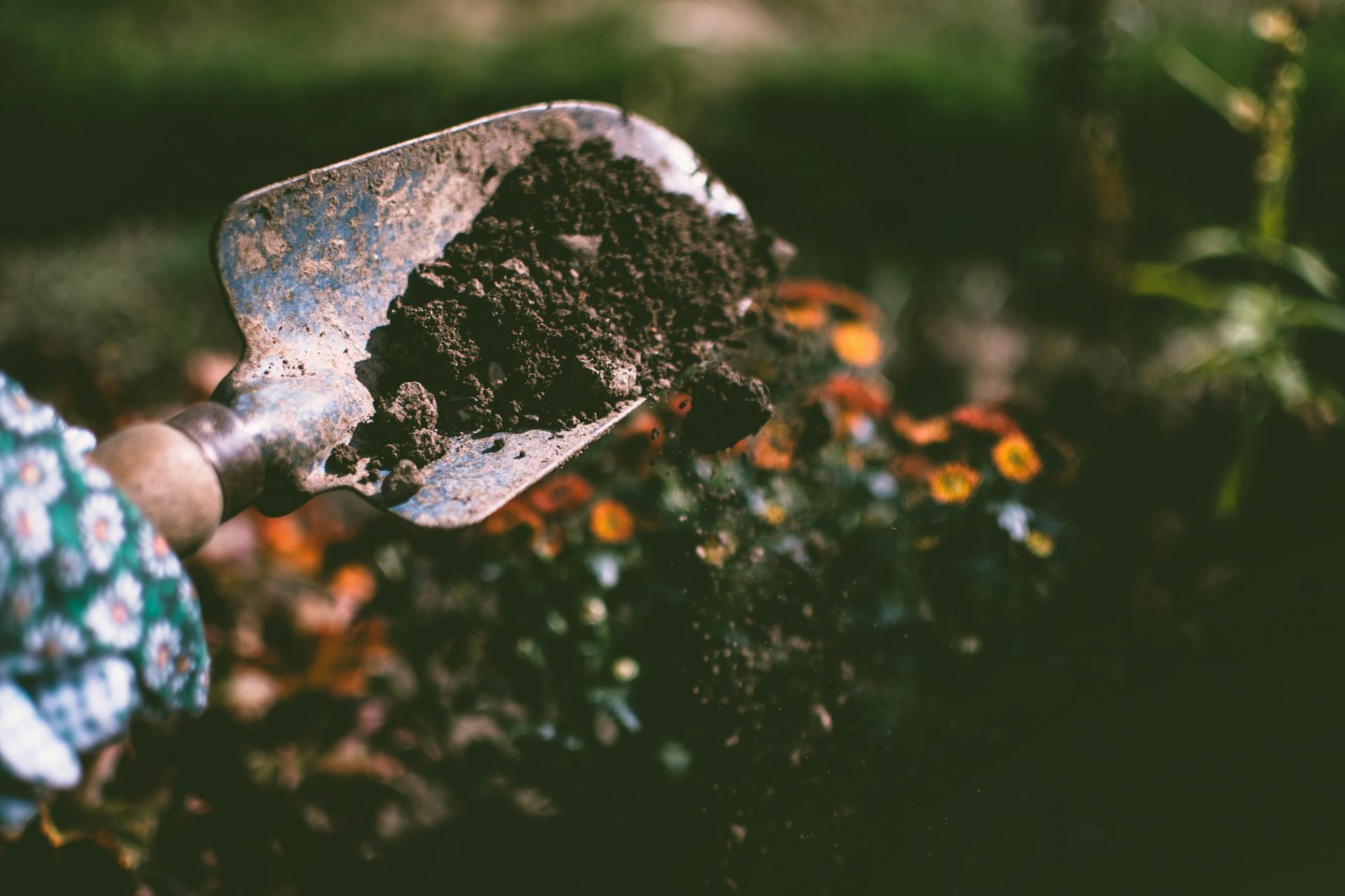 A person holding a shovel | Source: Pexels