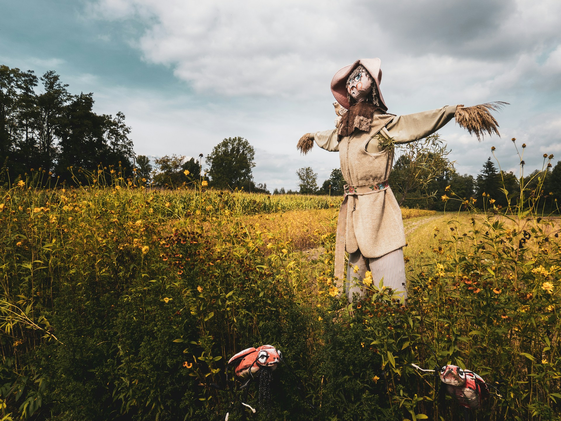 A scarecrow on a field | Source: Unsplash