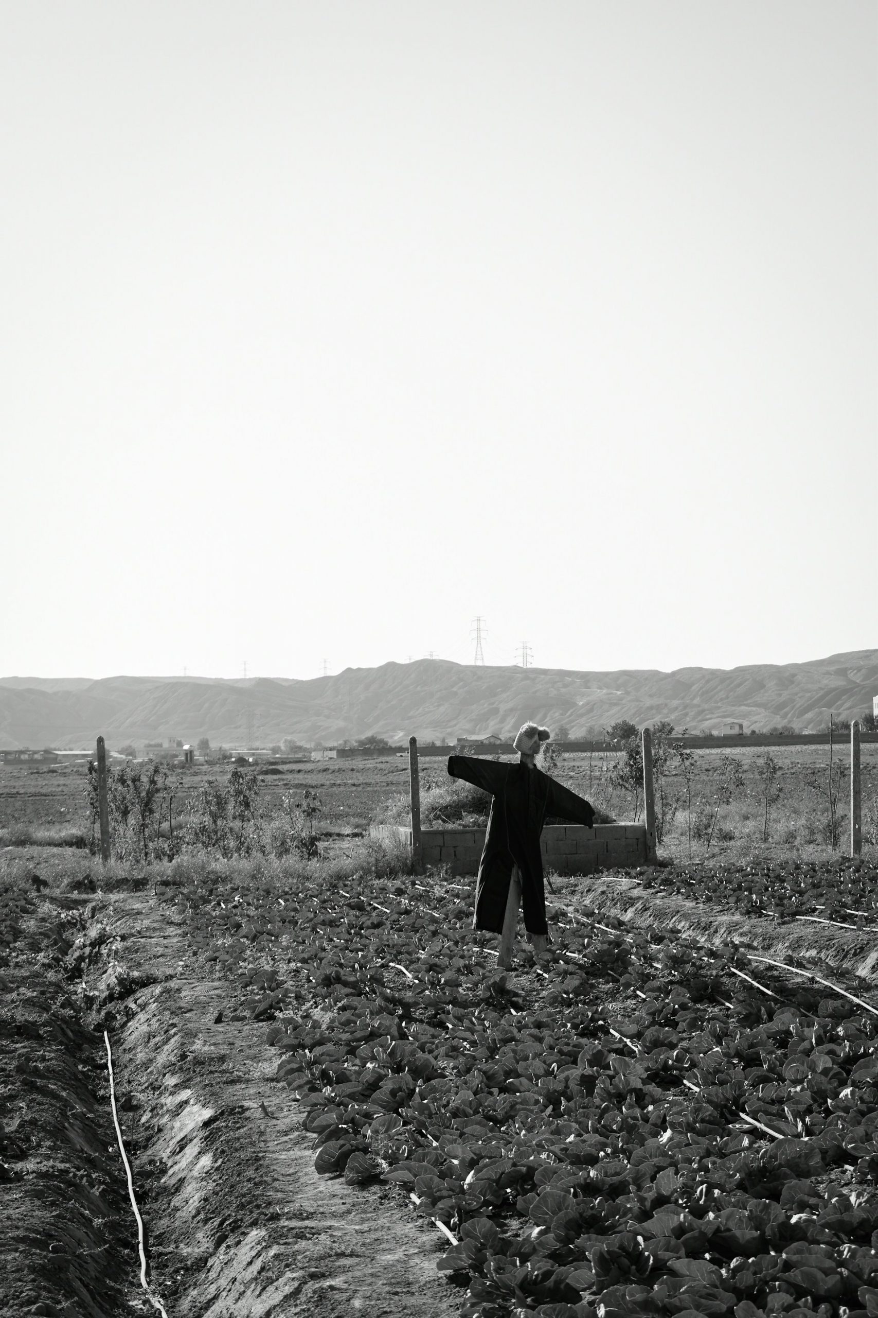 Grayscale shot of a scarecrow on a field | Source: Unsplash