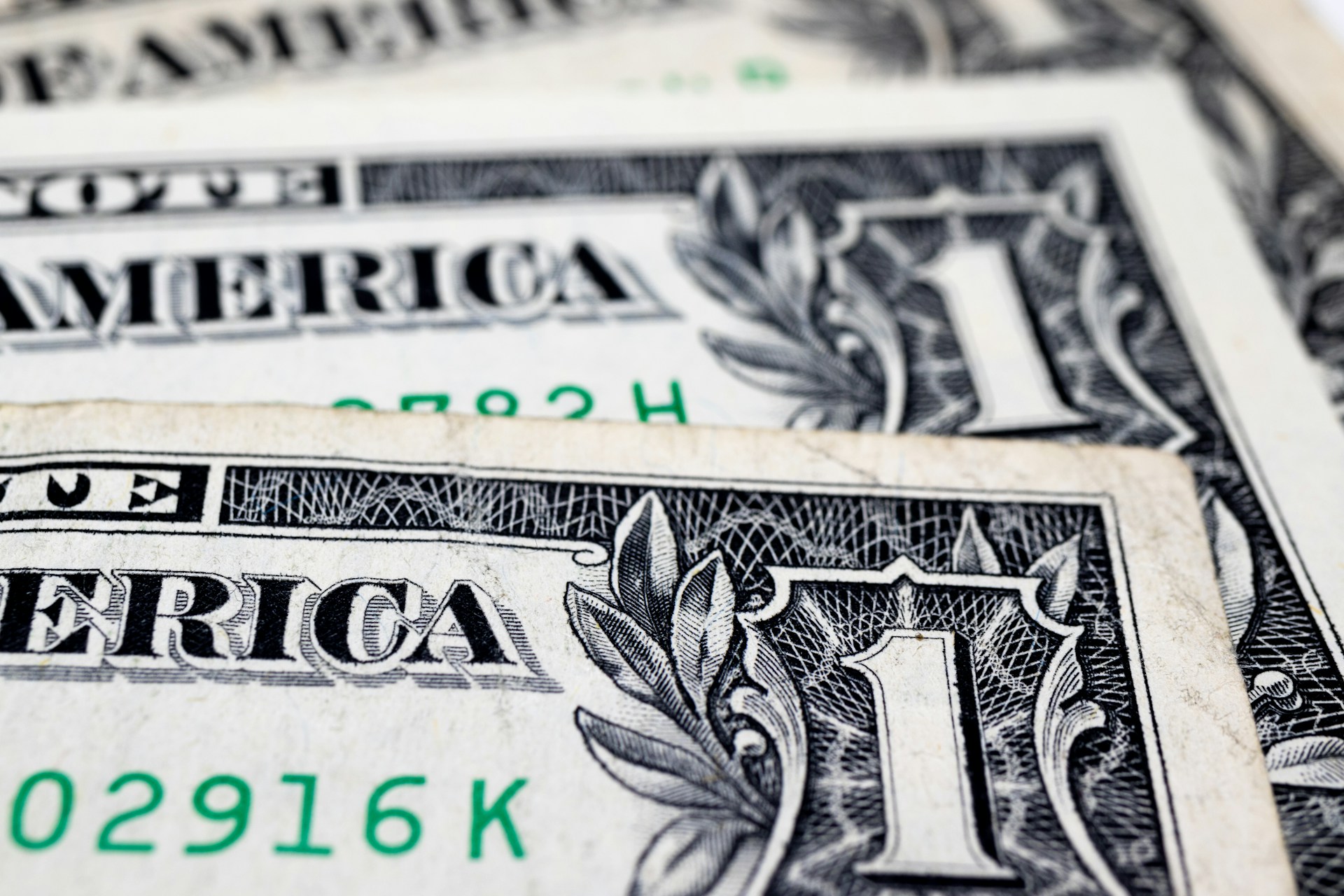 Close-up shot of dollar bills | Source: Unsplash