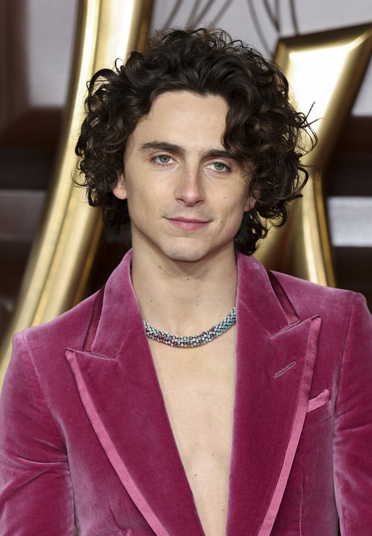 Timothée Chalamet at the 