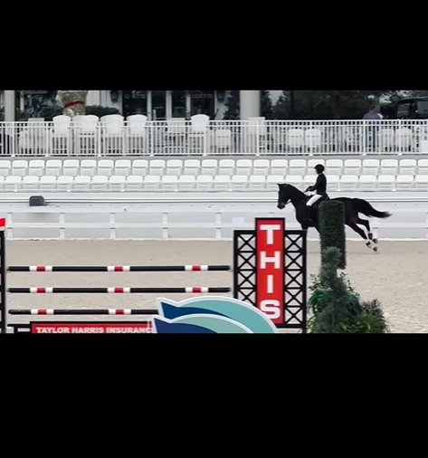 Grace Wahlberg as seen from a post dated November 18, 2024. | Source: Instagram/markwahlberg