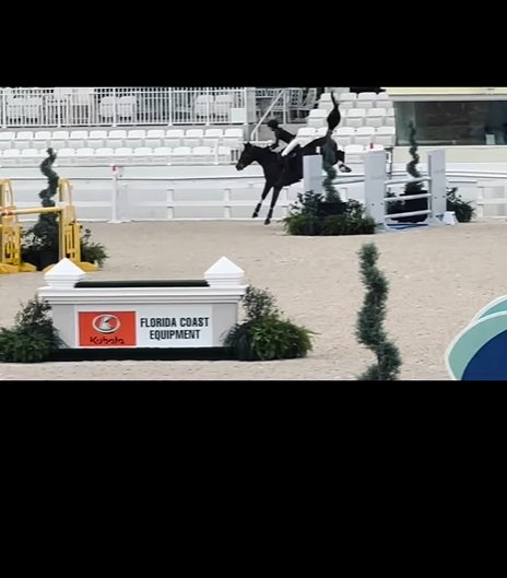 Grace Wahlberg and her horse are captured mid-jump, as seen from a post dated November 18, 2024. | Source: Instagram/markwahlberg