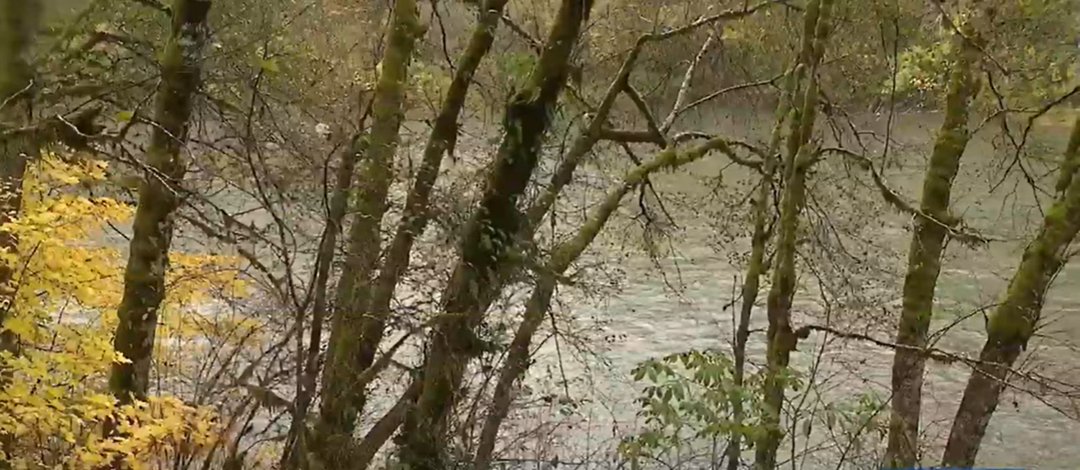 A view of the Bogachiel River seen in a video dated November 6, 2025  | Source: YouTube/@komonews