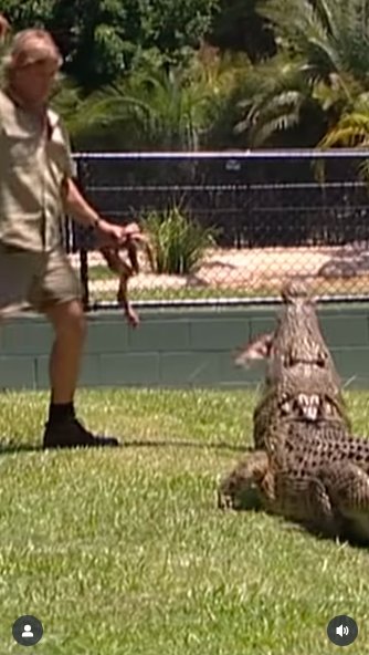 Steve Irwin snatching his hand back after throwing a piece of meat at a crocodile. | Source: Instagram/robertirwinphotography