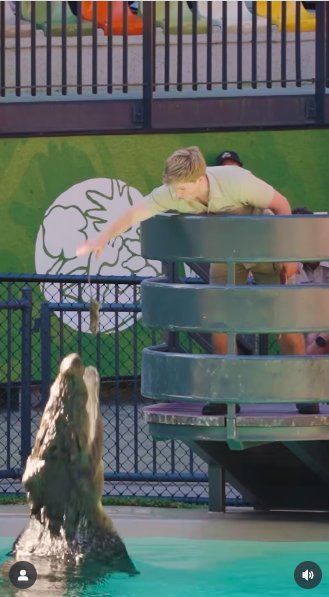 Robert Irwin feeding meat to a crocodile. | Source: Instagram/robertirwinphotography