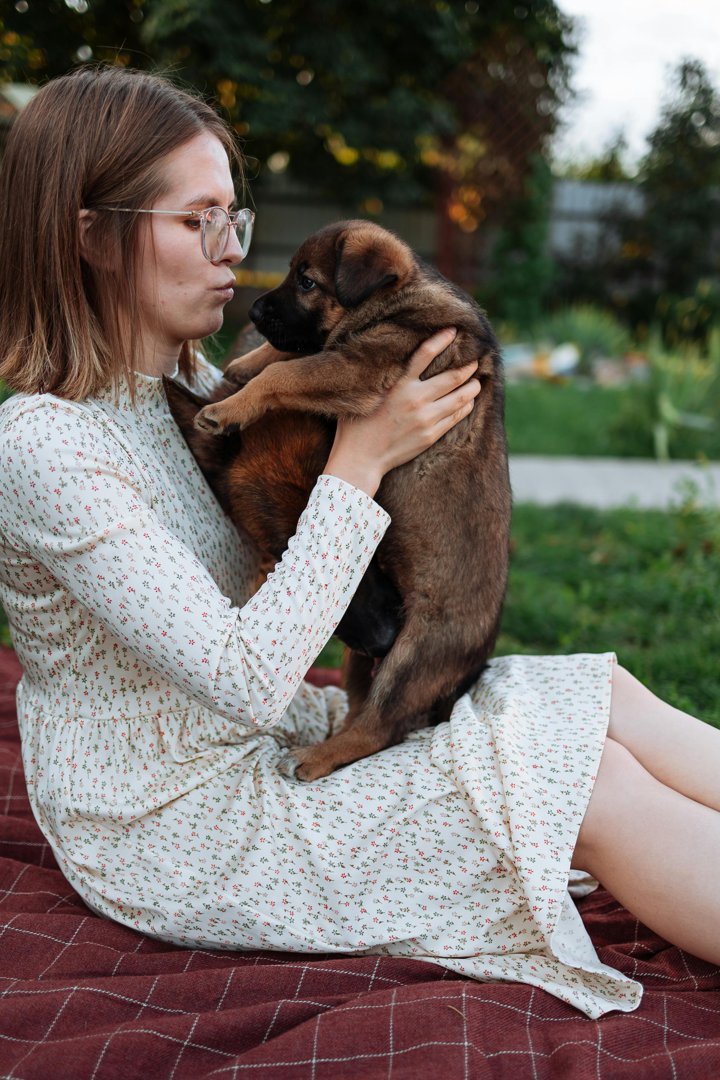 A woman holding a puppy | Source: Pexels