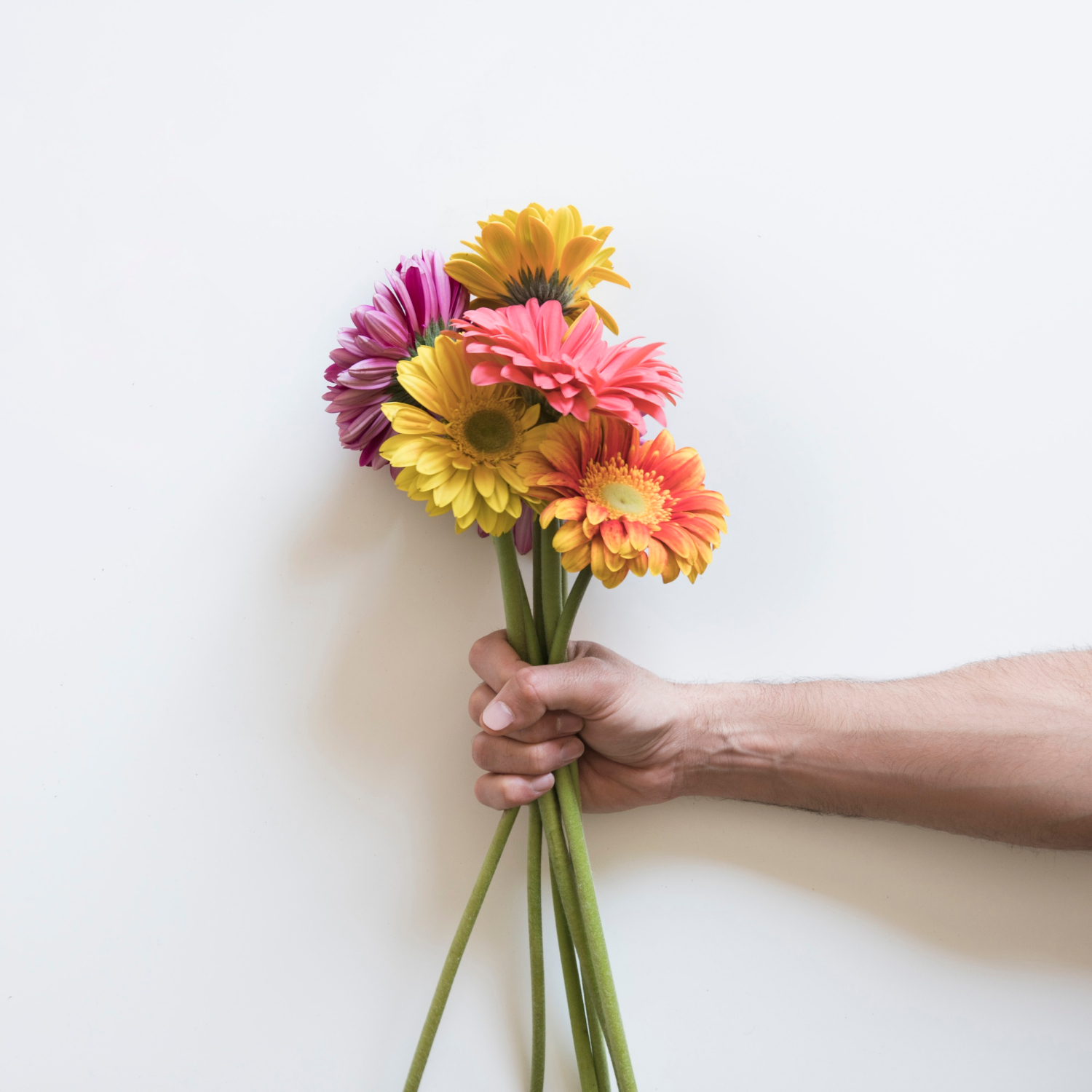 A person holding a bunch of flowers | Source: Freepik