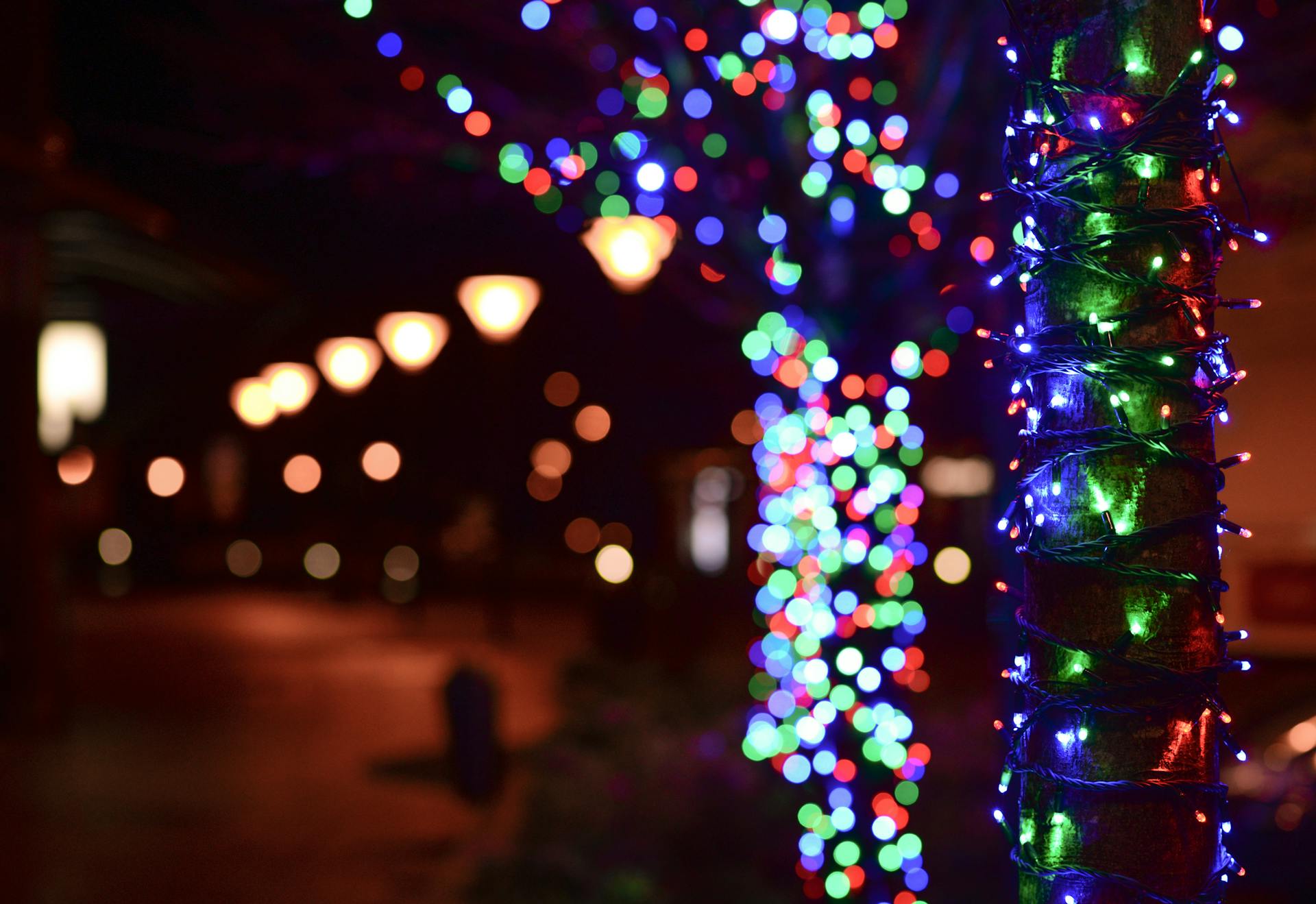 Christmas lights at night | Source: Pexels